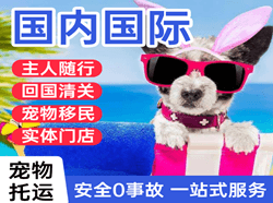 沧源佤山航空邮寄国际宠物托运 【国